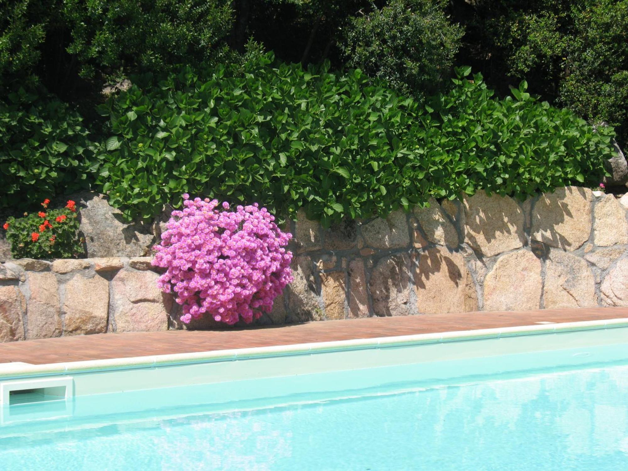Hotel San Trano Luogosanto Εξωτερικό φωτογραφία
